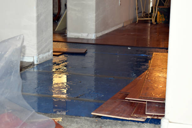 Professional Emergency Water Damage Restoration technician working in Waynesville, OH